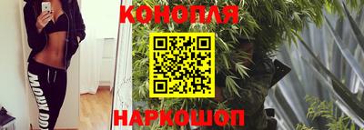 твердый Кингисепп