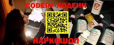 МДПВ Камышлов