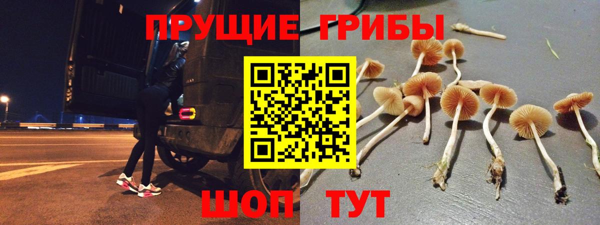 где найти   Псилоцибиновые грибы MAGIC MUSHROOMS  Валуйки  Вход с VPN  Псилоцибиновые грибы ЛСД 